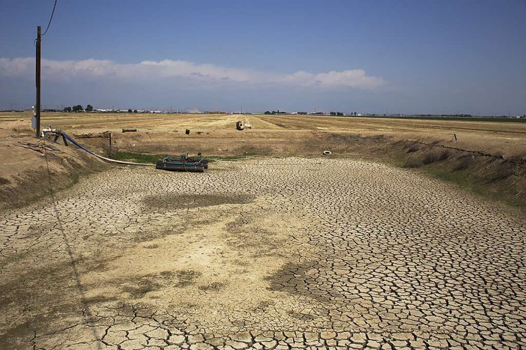 The Drought Project (Essay)